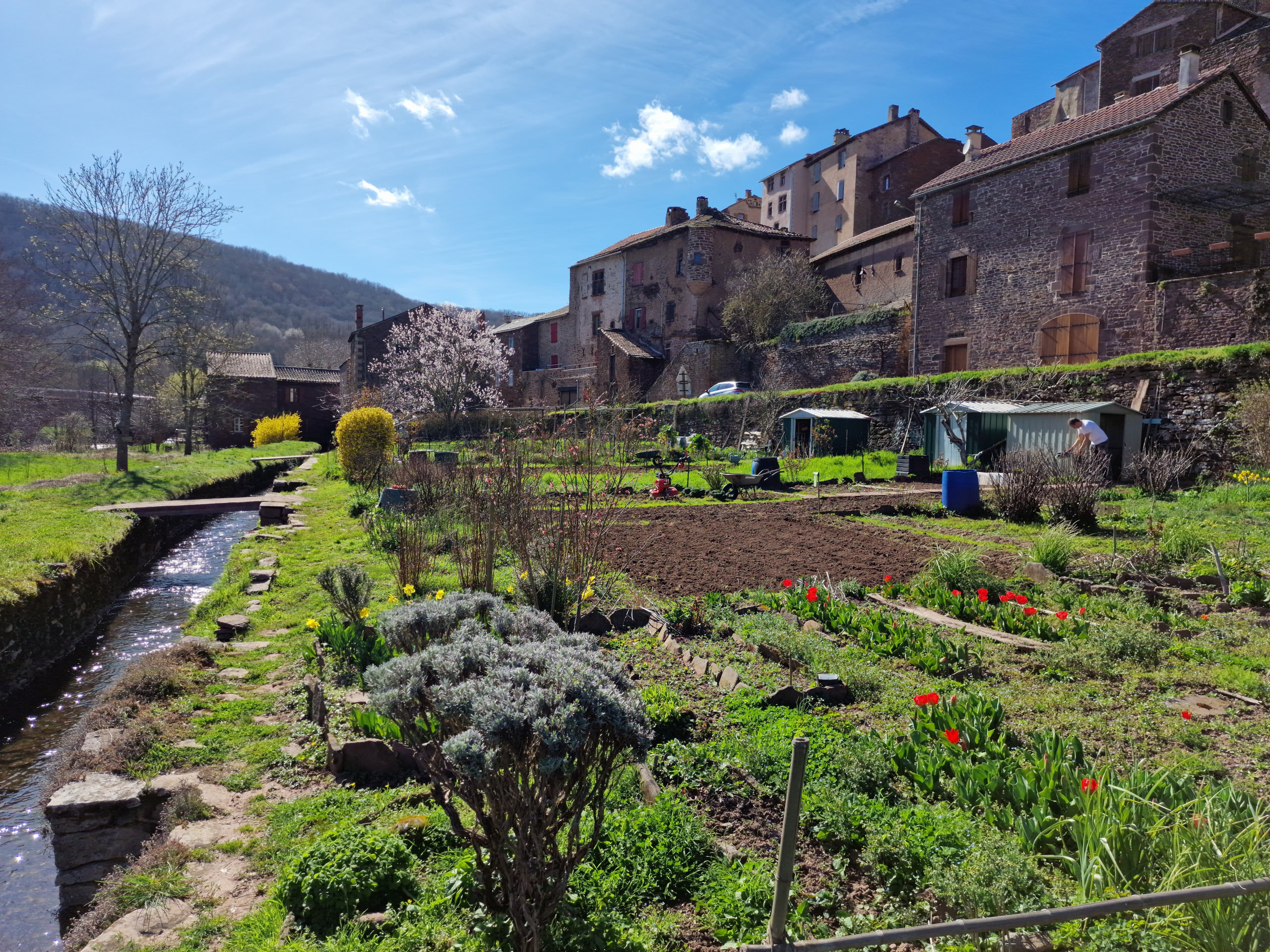 Lire la suite à propos de l’article Le printemps est arrivé