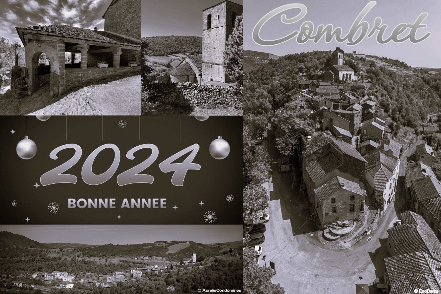 Lire la suite à propos de l’article Vœux 2024